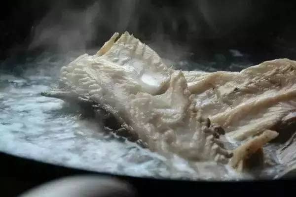 贵州水煮鱼的做法视频