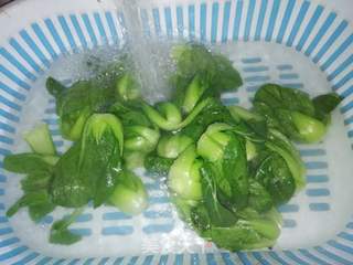 菜龙的做法大全图解
