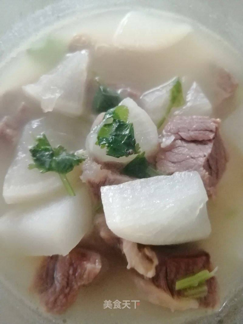 冬瓜牛腩萝卜汤的做法