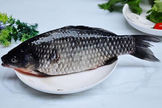 新鲜鳞鱼的做法大全