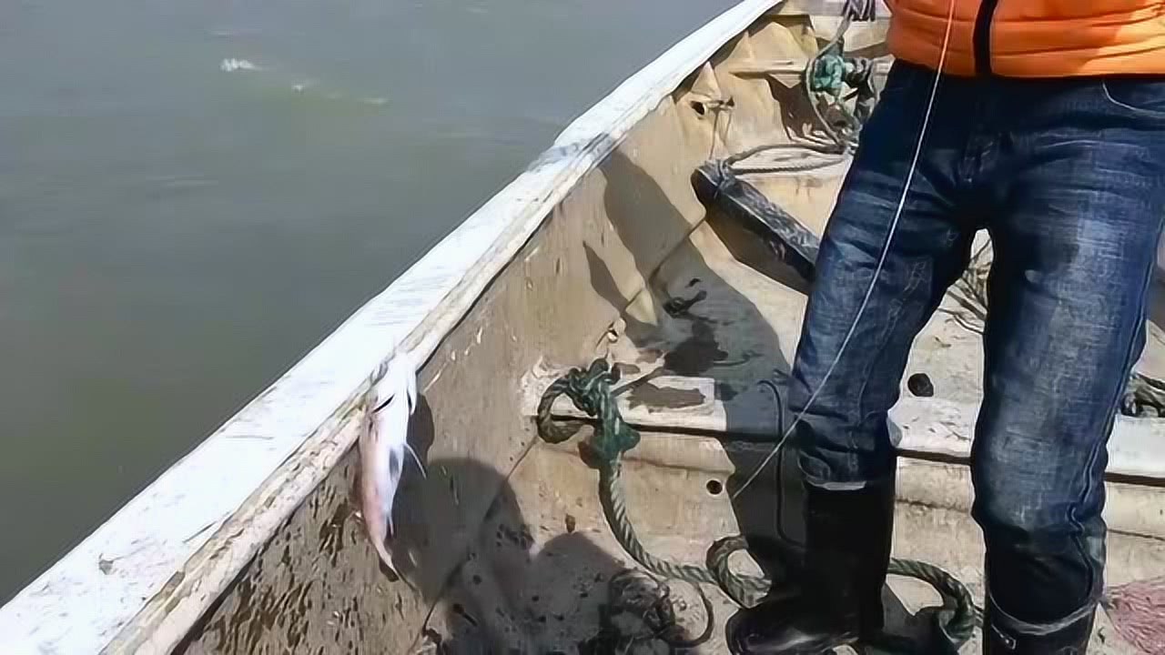 阿烽鱼的做法大全