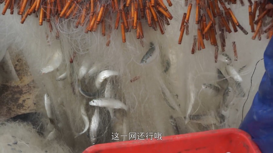 阿烽鱼的做法大全