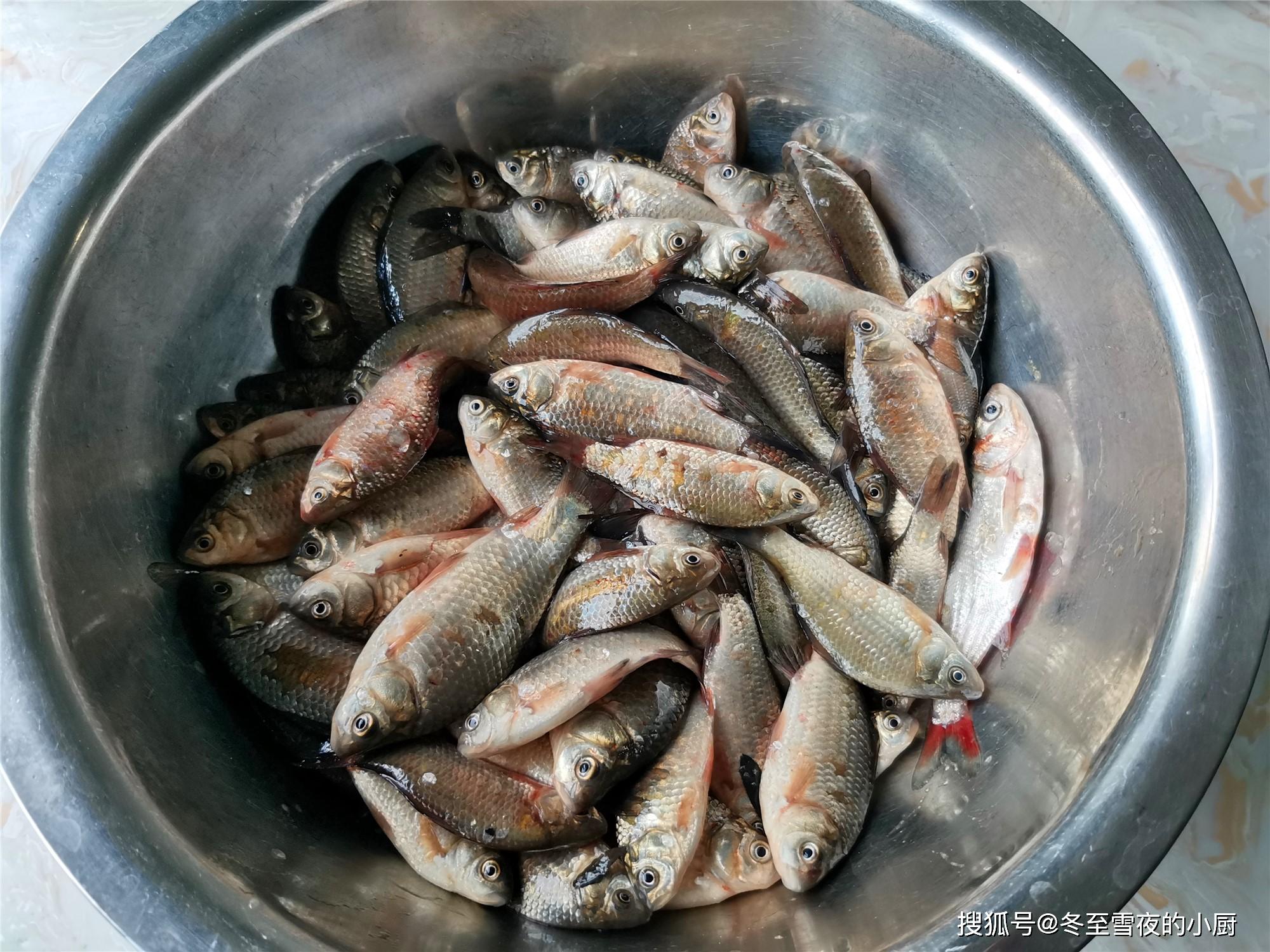 通天鱼的做法怎么吃