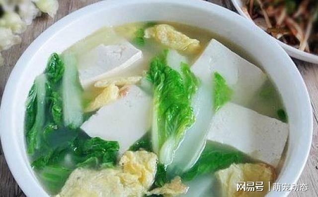 豆腐鸡蛋汤做法大全