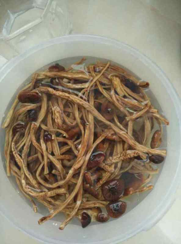 茶叶菇汤做法大全