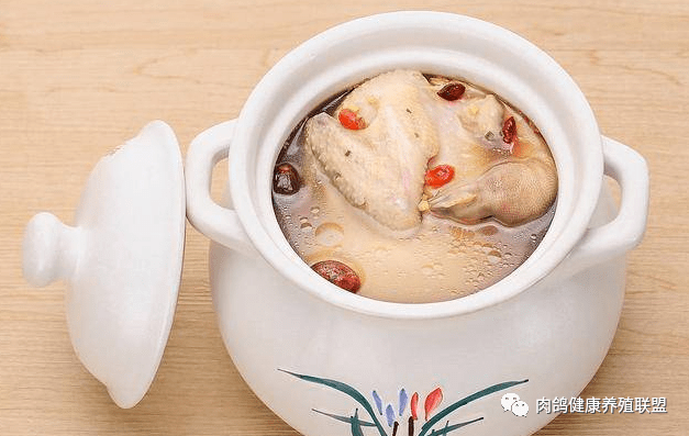 煮鸽子当归汤的做法
