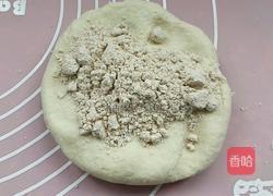 新面肥做法