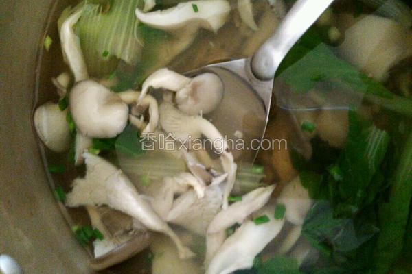 白菜菇汤的做法大全