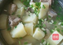 荠菜土豆排骨汤的做法