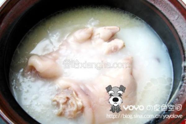 猪手汤的正确做法