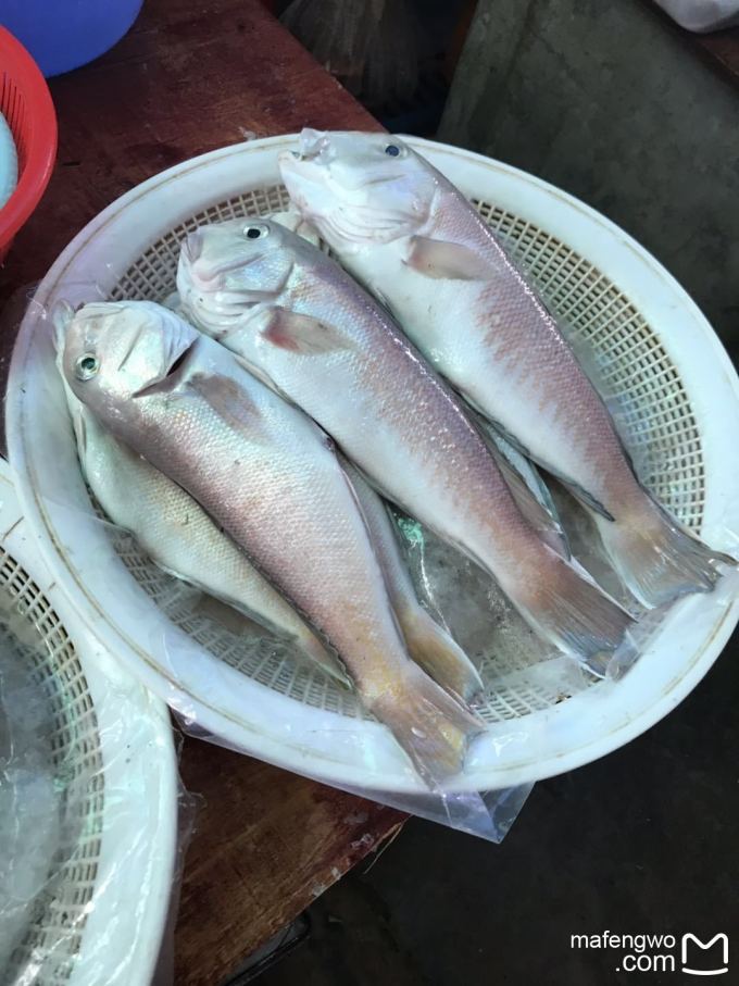 新港码头鱼煲的做法