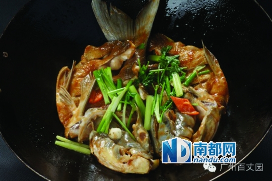 中山火龙鱼的做法