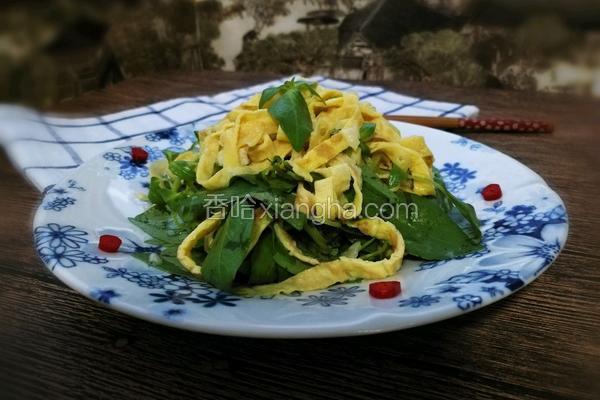 鸡蛋皮做法凉菜图片大全