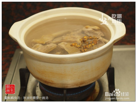 鹧鸪汤的做法步骤
