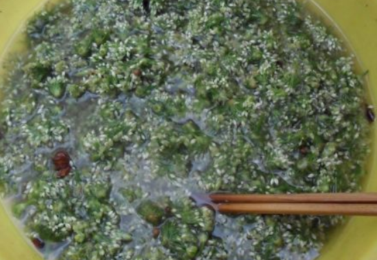腌豆腐切花刀的做法视频