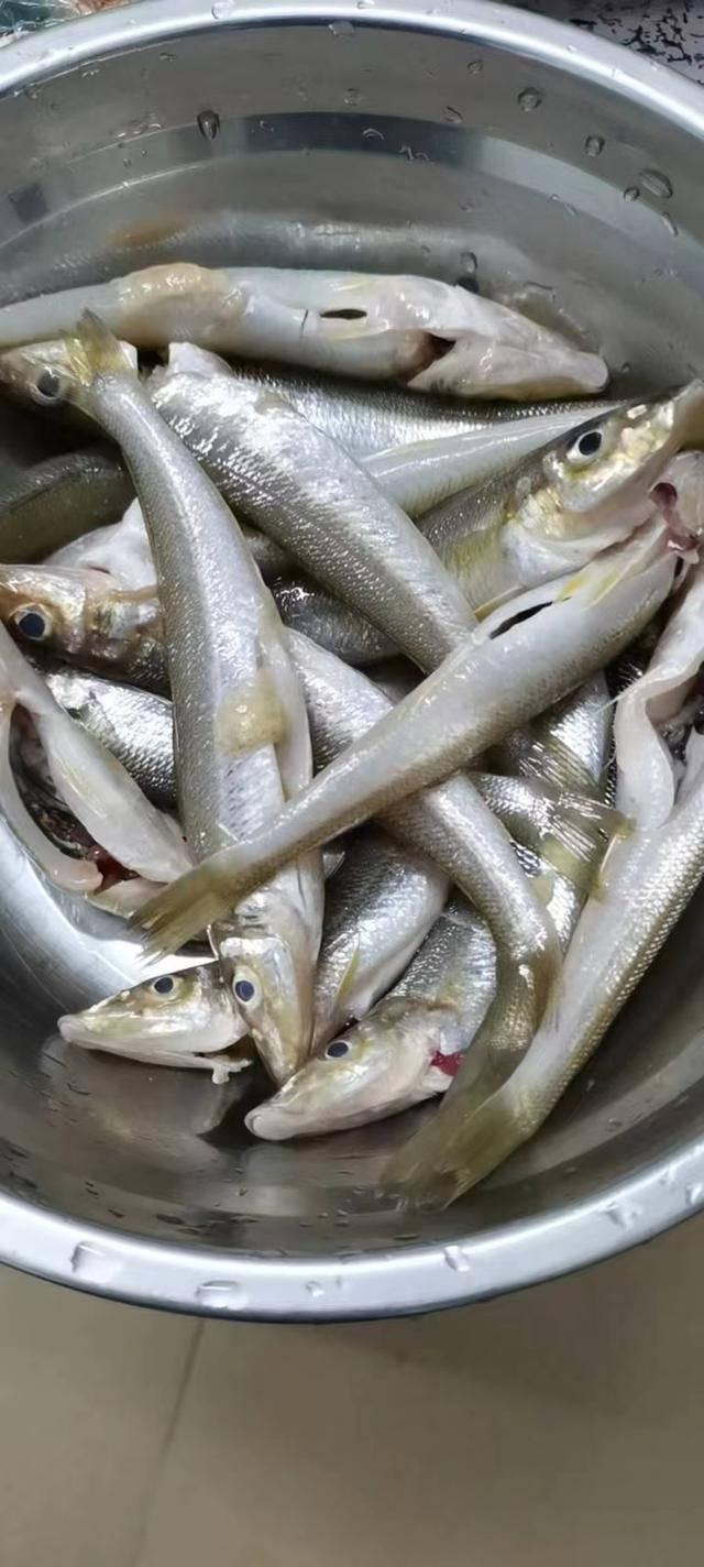 湘菜船钉子鱼的做法