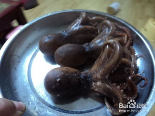 广东水煮八爪鱼的做法