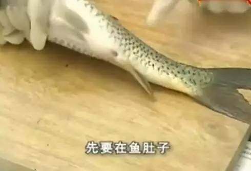 插鱼的做法视频教学大全