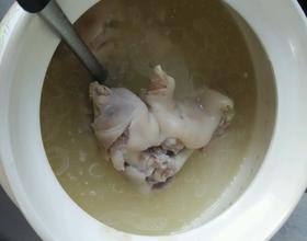 鸡子催奶汤的做法