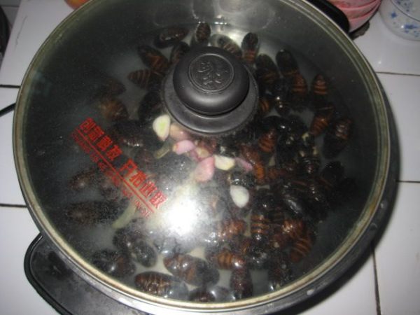 汤汁蚕蛹的做法视频