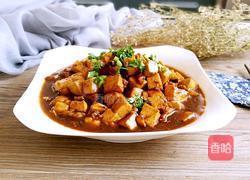 蘑菇烧豆腐肉的做法大全