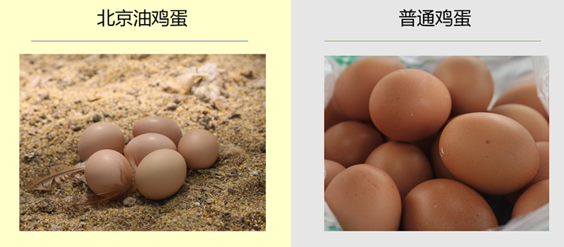 北京油鸡蛋做法视频
