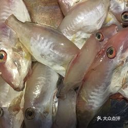 惠来鱼的做法视频