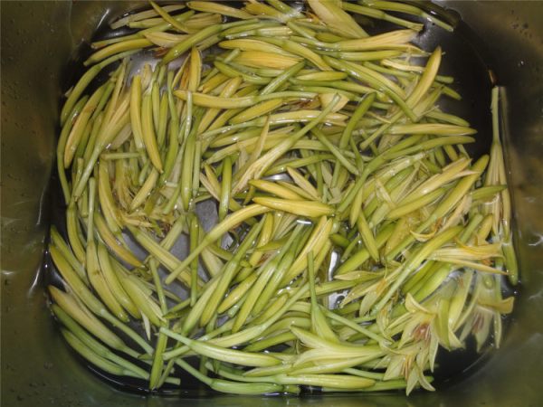 黄花菜的做法大全家常