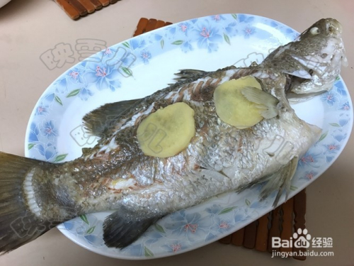 只有鱼和油的做法