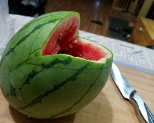 大嘴寻鱼的做法图片