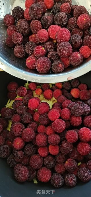紫苏杨梅干的做法