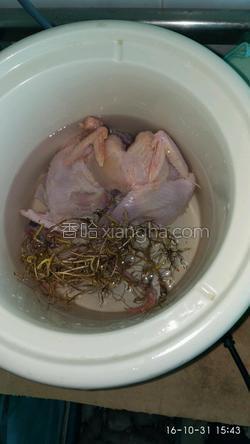 炖白鸽汤的家常做法