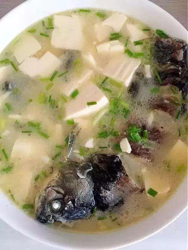 炖白鸽汤的家常做法