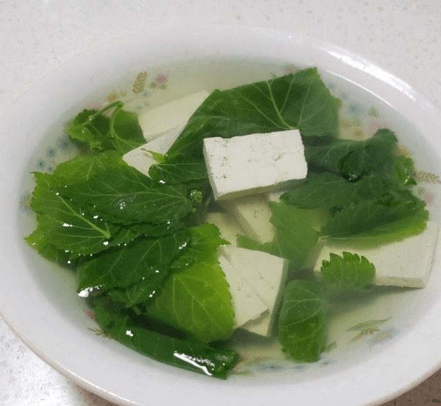 夏天的桑叶豆腐做法