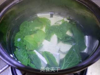 夏天的桑叶豆腐做法