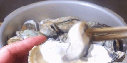 海边生蚝鸡蛋做法