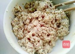 豆芽肉豆腐做丸子的做法