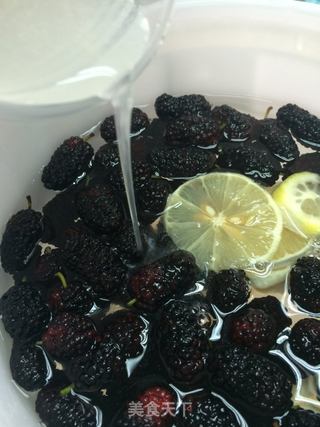 桑葚酵素做法视频