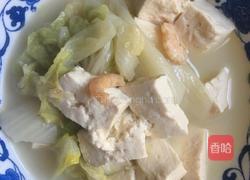 豆腐虾米炖汤的做法大全