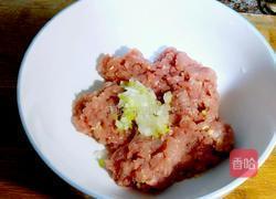 汽水肉的做法大全