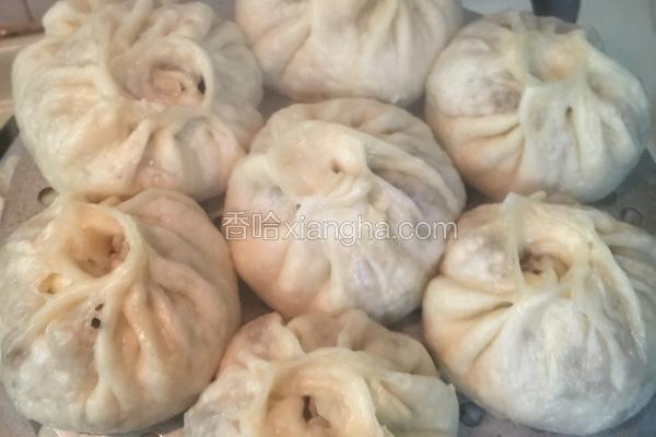 萝卜豆腐肉包的做法大全