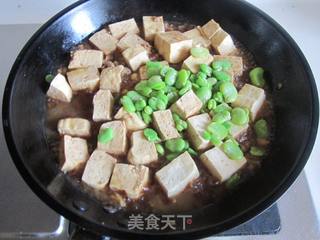 鲜豆子烧豆腐的做法视频
