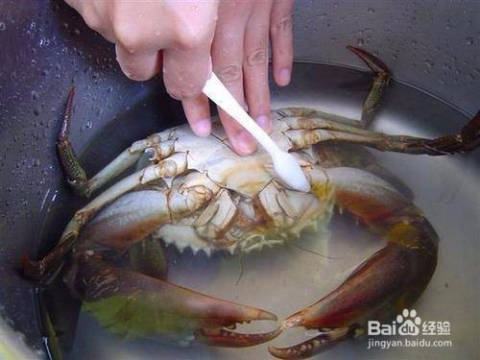 螃蟹煲东瓜汤的做法
