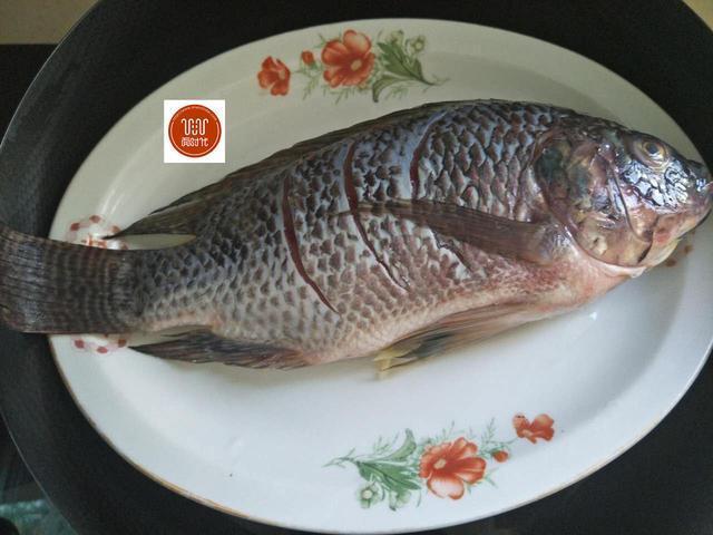 鱼品种的做法大全