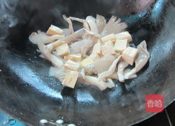 豆腐和鸡脚菇的做法大全