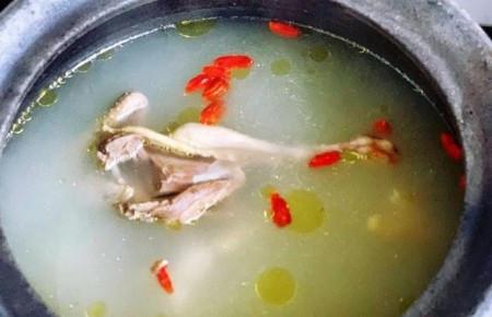 粤菜炖鸽子汤的做法