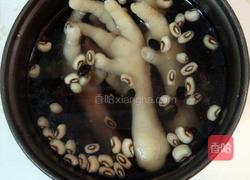 黑豆狗脚汤的做法大全