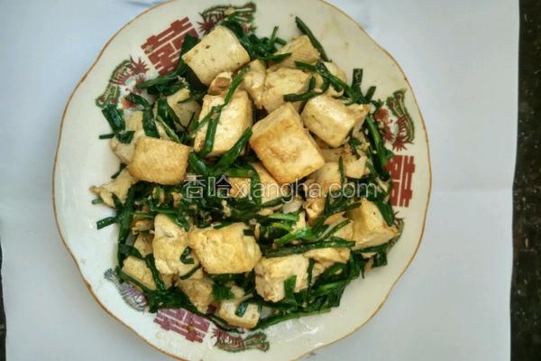 做豆腐韭菜的做法大全视频
