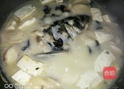 魚头炖豆腐的做法