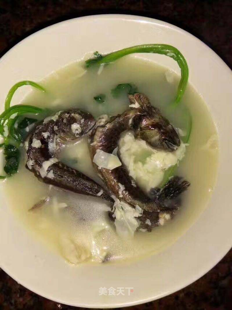 娃娃鱼炖汤最好的做法